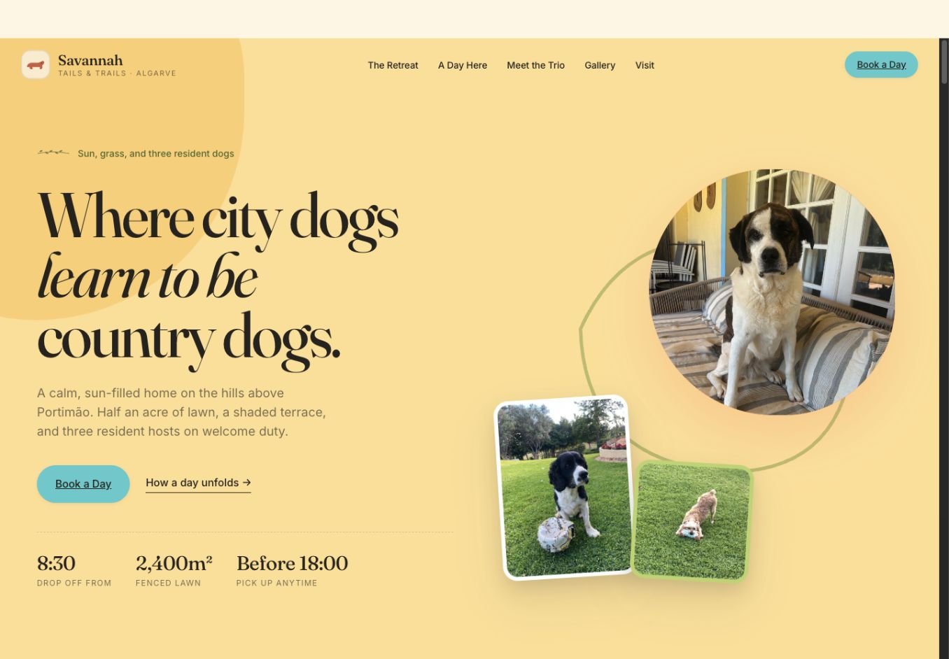 Savannah Tails and Trails website homepage showing the resident dogs, service introduction and booking link